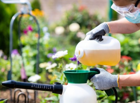 Quelle quantité de Roundup pour 10L d’eau : guide complet pour jardiniers responsables