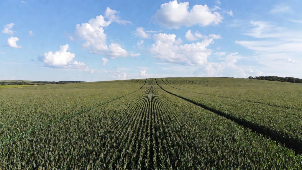 image d'un champ vu de haut