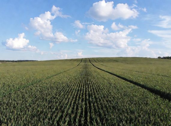 1 hectare en m² : équivalences, calculs et conversions