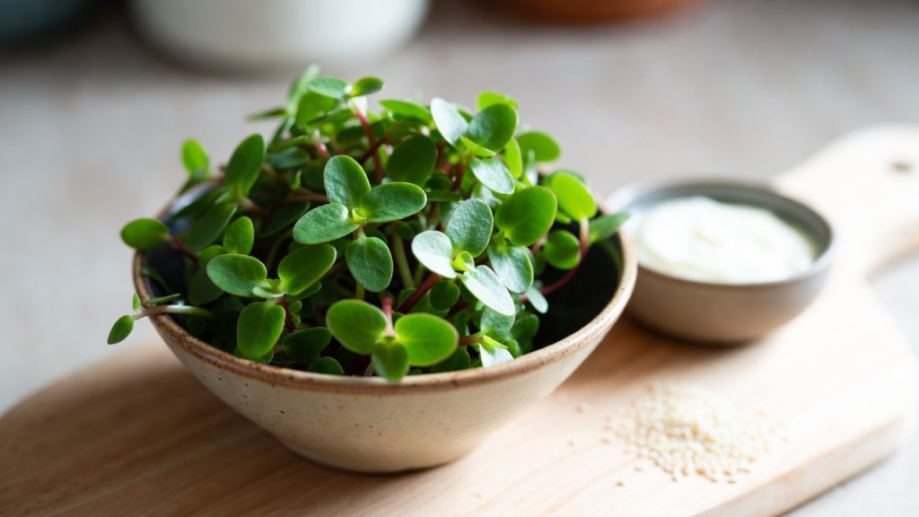 Feuilles fraîches de pourpier sur planche en bois avec yaourt et graines de sésame, mettant en valeur les bienfaits et la sécurité de consommation.