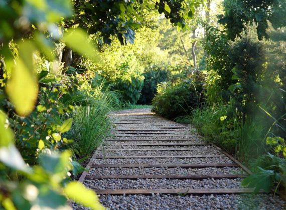 Traverse chemin de fer gratuit : où en trouver et alternatives saines pour le jardin