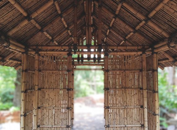 Pergola en bambou : comment choisir un abri naturel et esthétique pour votre jardin